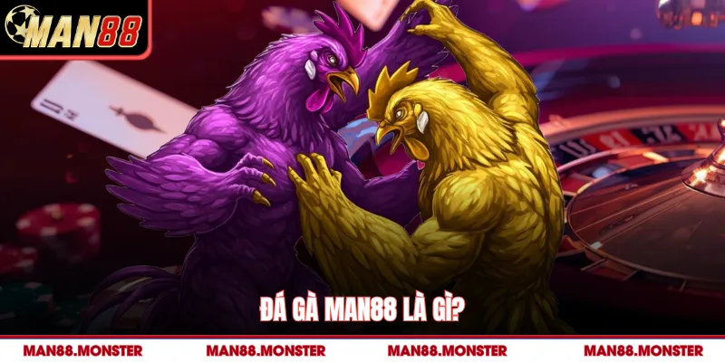 Đá gà man88 là gì? 