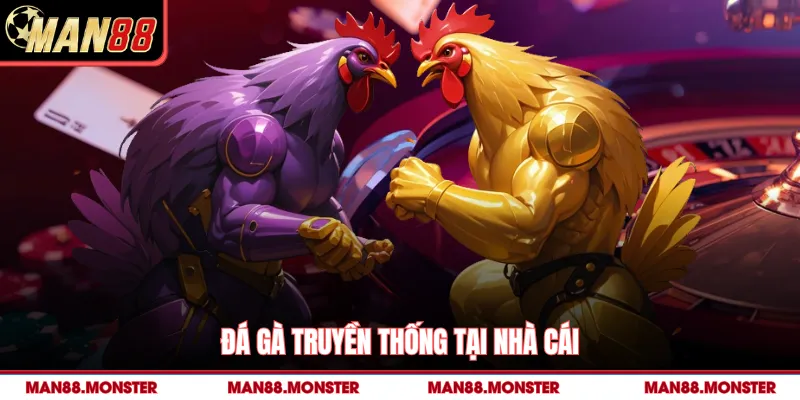 Đá gà truyền thống tại nhà cái